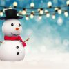 Baby Snowman Paint By Number
