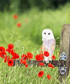 Barn Owl and Flowers paint by numbers