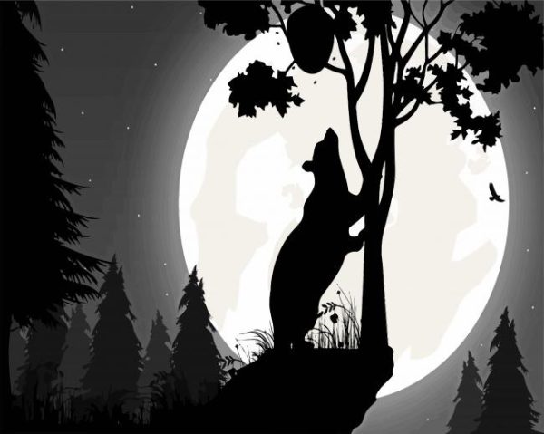 Bear And Full Moon Paint By Number