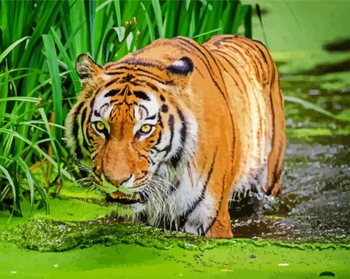 Bengal Tiger in The Water paint by numbers