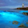 Bioluminescent Lighthouse Anglesey paint by numbers