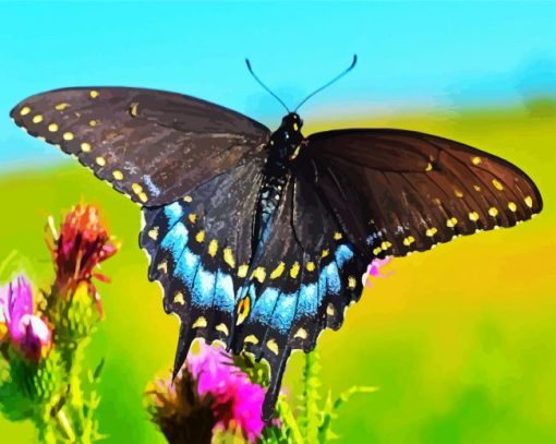 Black Swallowtail paint by numbers