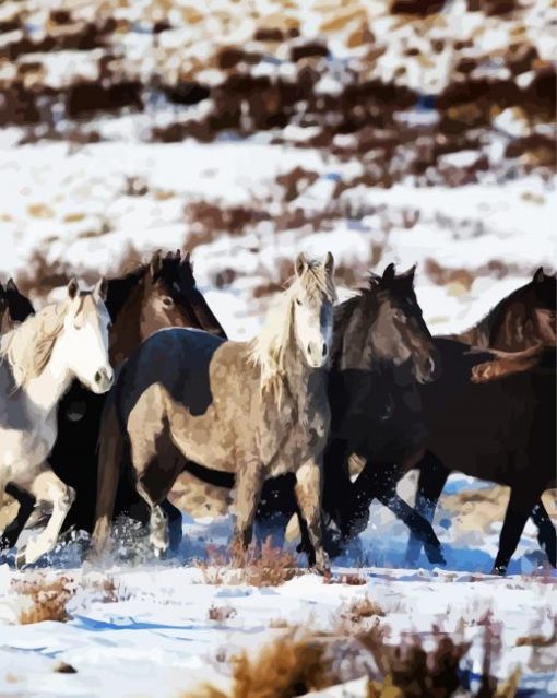 Black and White Brumby Flock paint by numbers