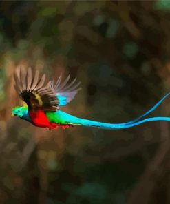 Blue Tail Quetzal paint by numbers