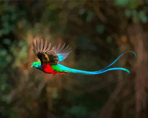 Blue Tail Quetzal paint by numbers