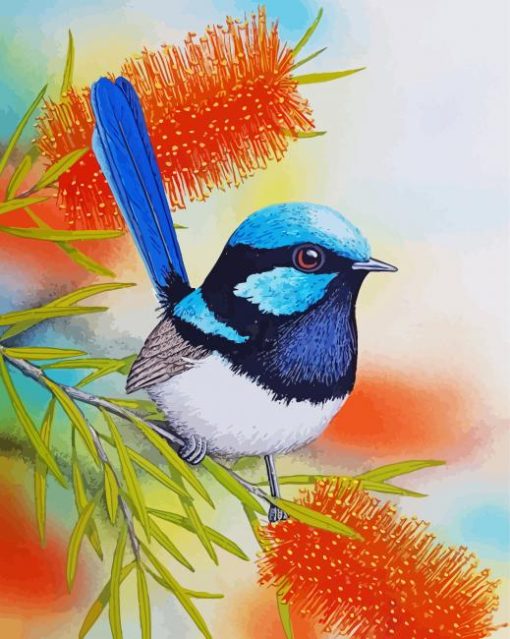 Blue Wren Bird paint by numbers