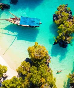 Boat in Zanzibar Island paint by numbers