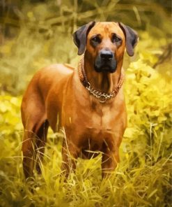 Brown Rhodesian Ridgeback paint by numbers