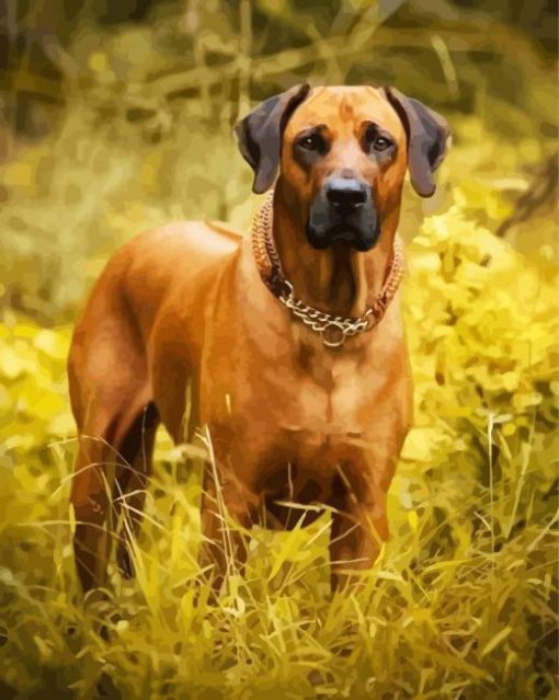 Brown Rhodesian Ridgeback paint by numbers