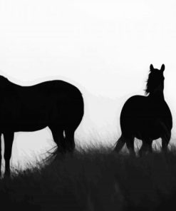 Brumbies Silhouette paint by numbers