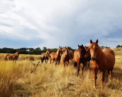 Brumby Flock paint by numbers