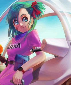 Bulma Dragon Ball paint by numbers