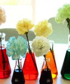 Carnations In Glass Paint By Number