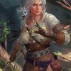 Ciri Witcher Illustration paint by numbers