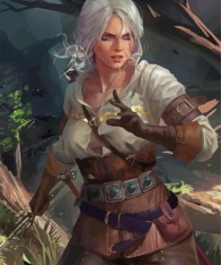 Ciri Witcher Illustration paint by numbers