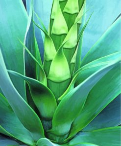 Close Up Agave Paint By Number