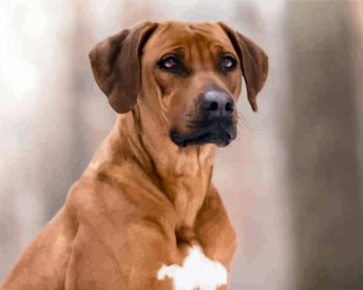 Close Up Rhodesian Ridgeback paint by numbers