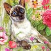 Siamese Cat Art Paint By Number