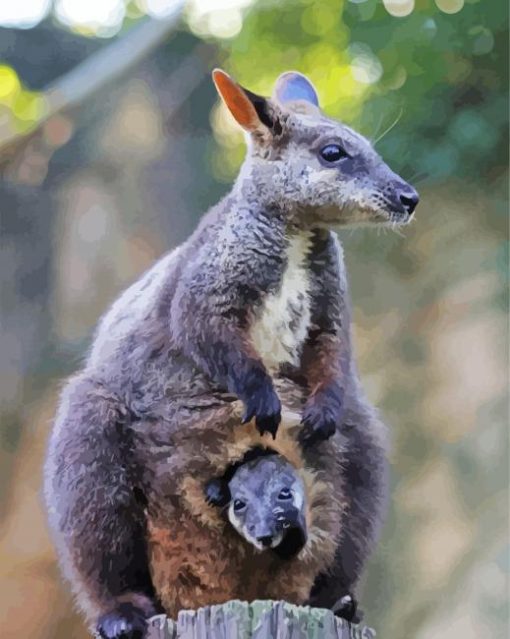 Cool Wallaby Animal Paint By Number