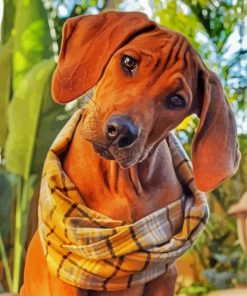 Curious Ridgeback Puppy Paint By Number