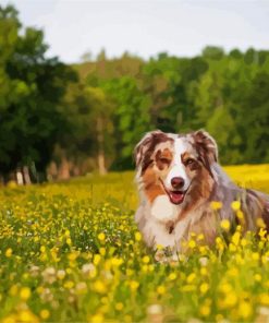 Cute Dog paint by numbers