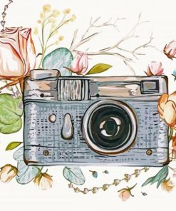 Cute Retro Camera Paint By Number