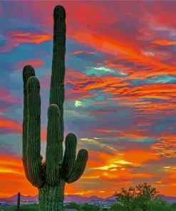 Desert Cactus Sunset paint by numbers