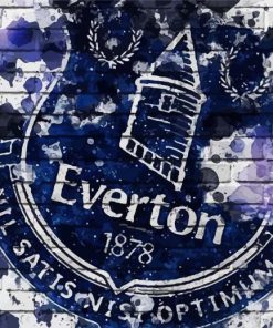 Everton Football Club Paint By Number