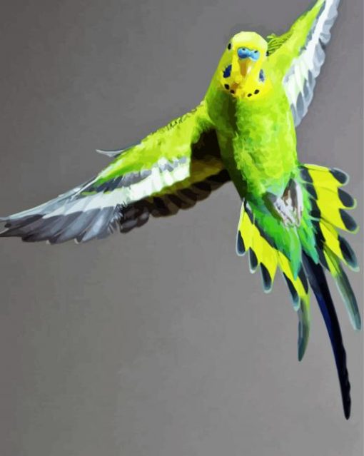 Flying Budgerigar paint by numbers