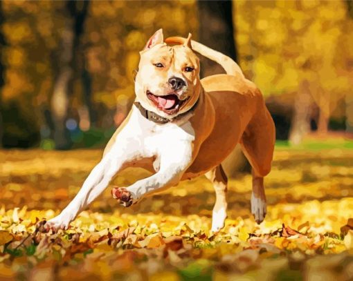 Golden American Staffordshire Terrier Dog Paint By Number