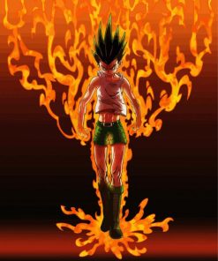 Gon Freecss Art paint by numbers