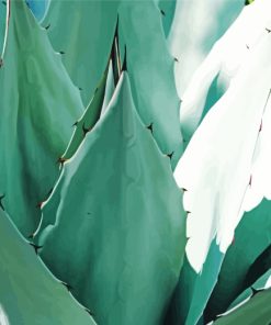 Green Agave With Thorns Paint By Number