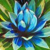 Blue Agave Plant Paint By Number