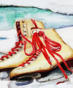 Ice Skates paint by numbers