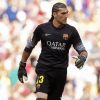 Jose Manuel Pinto Goalkeeper paint by numbers