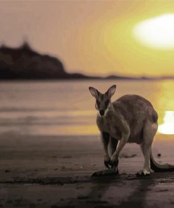 kangaroo in Queensland Beach at Sunset paint by numbers