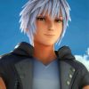 Kingdom Hearts Game Riku paint by numbers