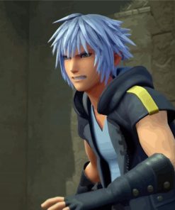 Kingdom Hearts Riku paint by numbers