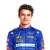 Lando Norris Mclaren paint by numbers