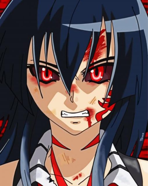 Mad Akame Ga Kill Paint By Number