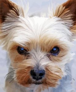 Mad Yorkie paint by numbers