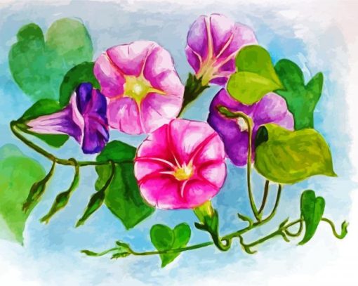 Morning Glory Flowers Paint By Number