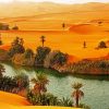 Oasis Desert paint by numbers