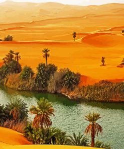 Oasis Desert paint by numbers