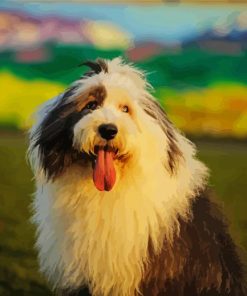 Old English Sheepdog paint by numbers