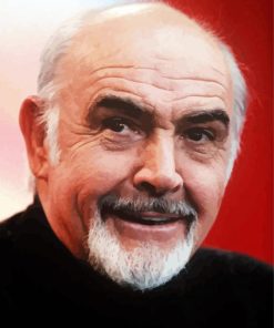 Old Sean Connery paint by numbers