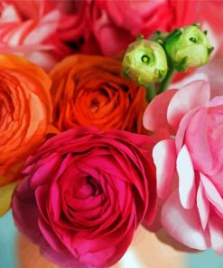 Pink And Orange Ranunculus Paint By Number