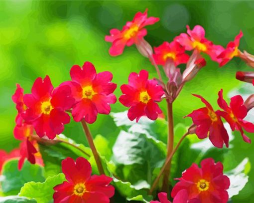 Pink Primroses paint by numbers