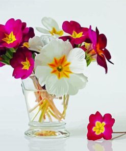 Primrose Flowers In Glass Paint By Number