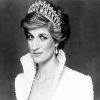 Princess Diana Paint By Number